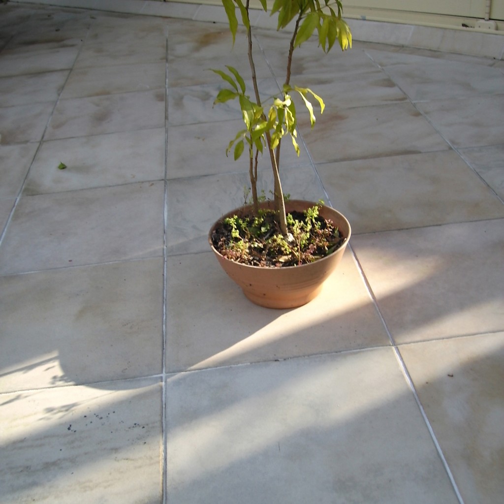 rust marks on tiles, rust marks on stone, rust on tiles, rust on stone, after tile cleaning